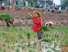 奥萨里奥最后一战